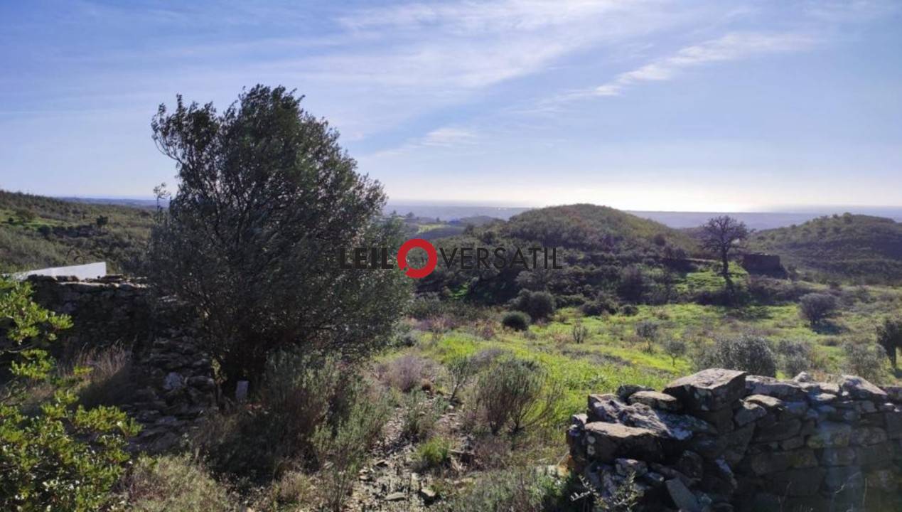 Lote 5