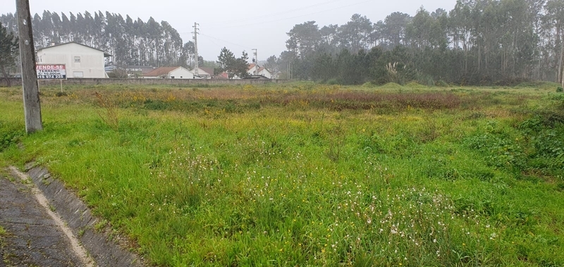 Lote 1