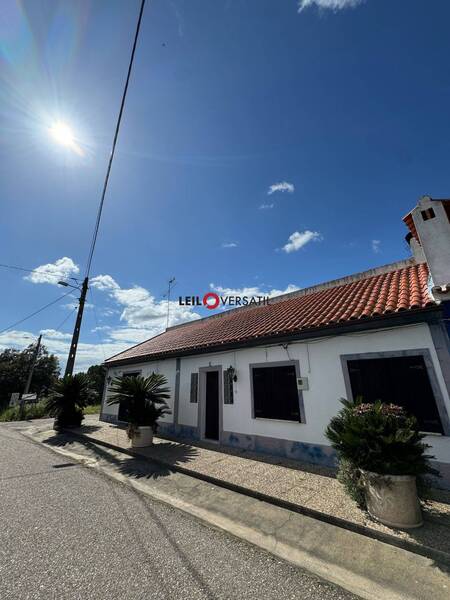 Lote 3