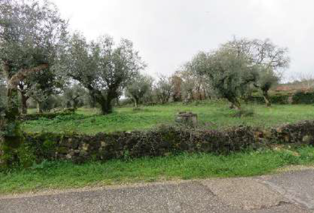 Lote 3