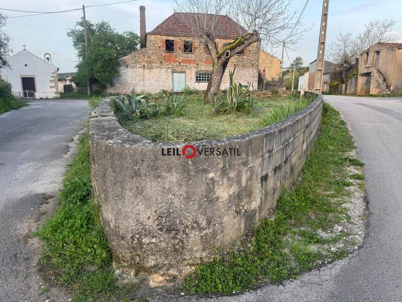 Lote 4
