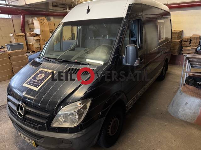 Lote 299