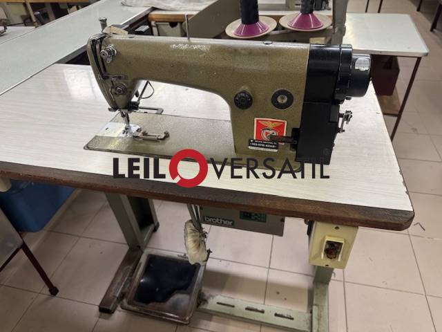 Lote 213