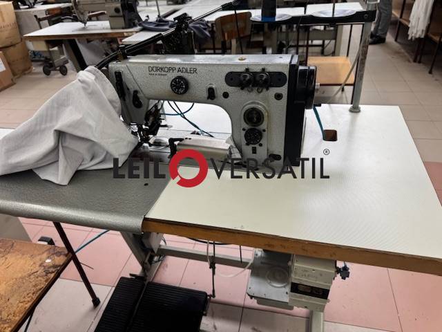 Lote 219