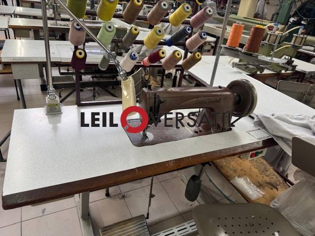 Lote 230