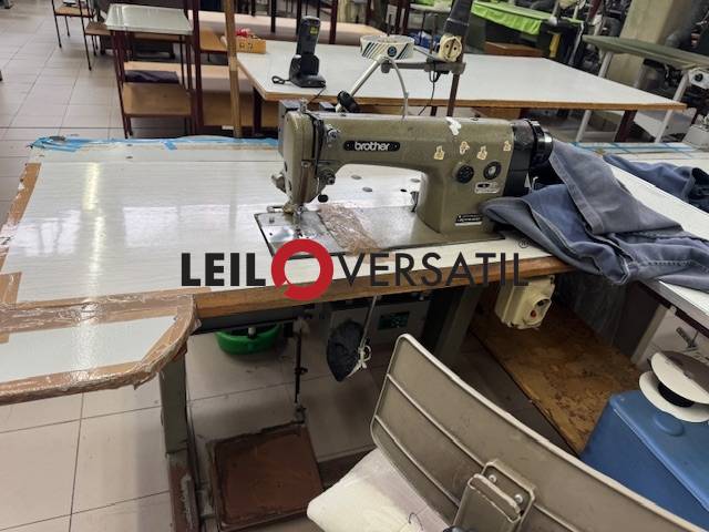 Lote 238