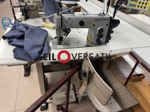 Lote 254
