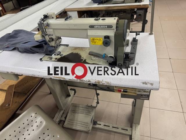 Lote 256