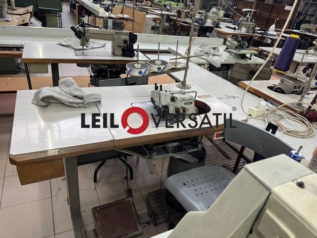Lote 282