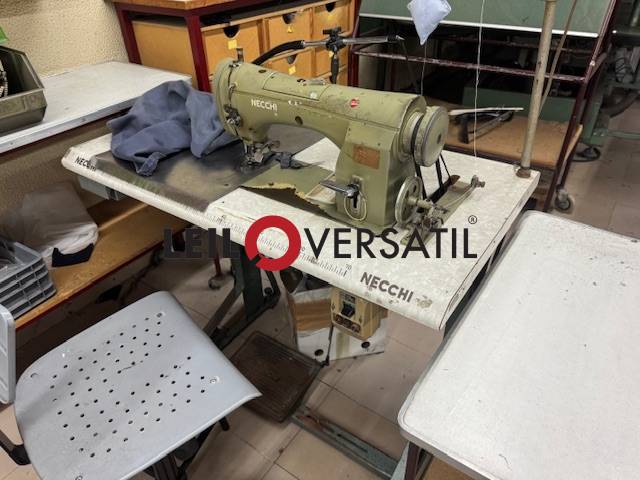 Lote 293