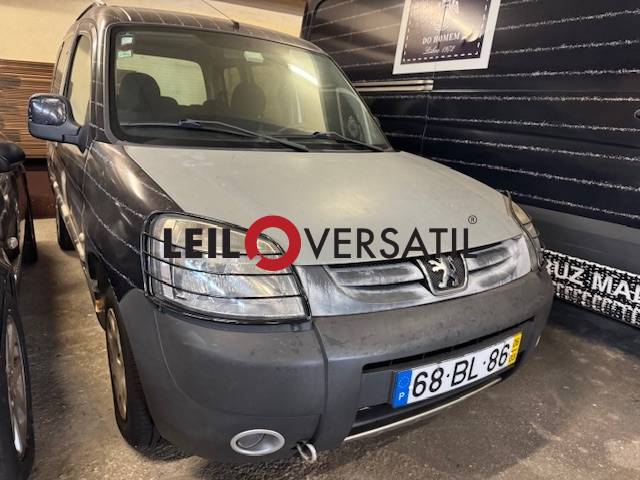 Lote 300