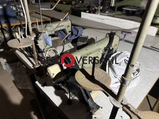 Lote 31