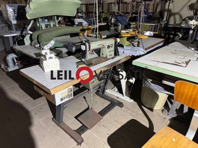 Lote 62