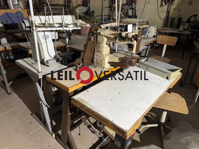 Lote 65