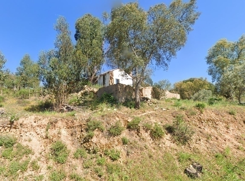 Lote 1