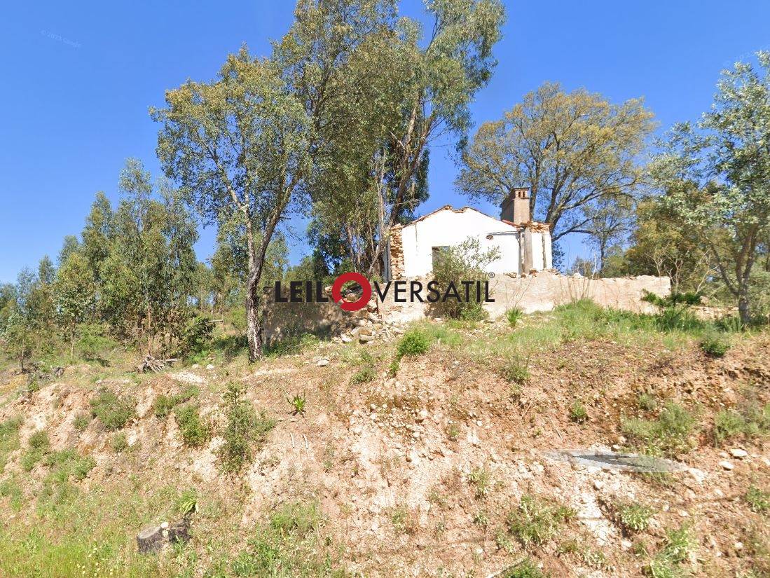 Lote 1