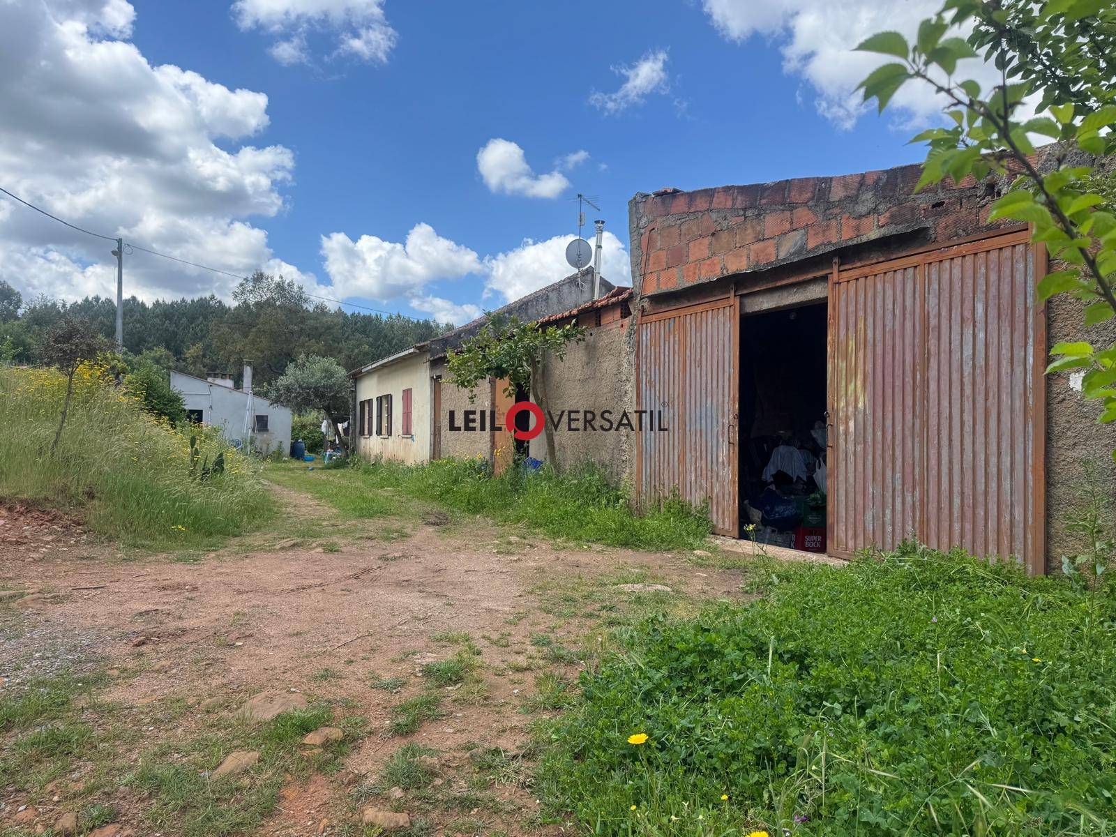 Lote 1