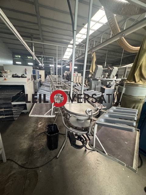 Lote 55