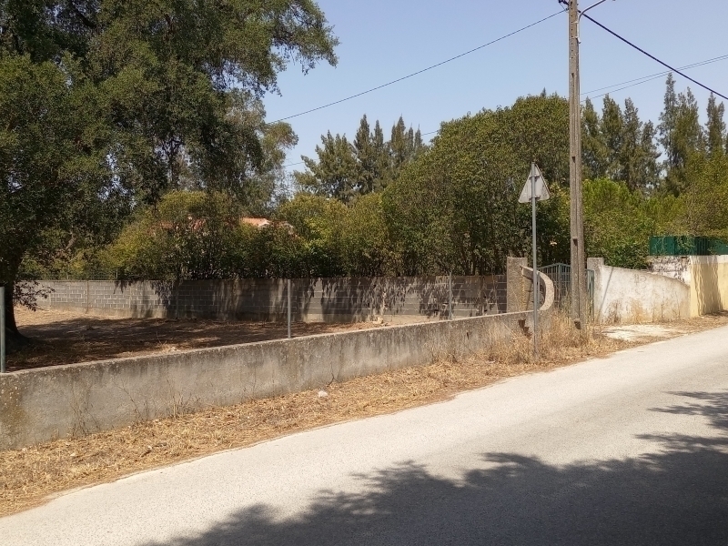 Lote 1