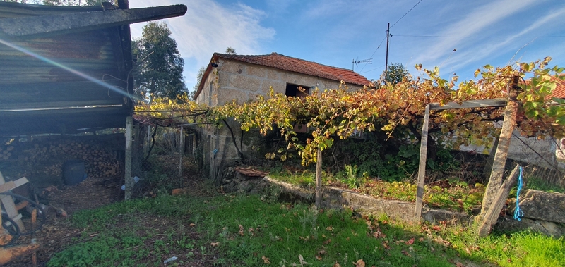 Lote 1