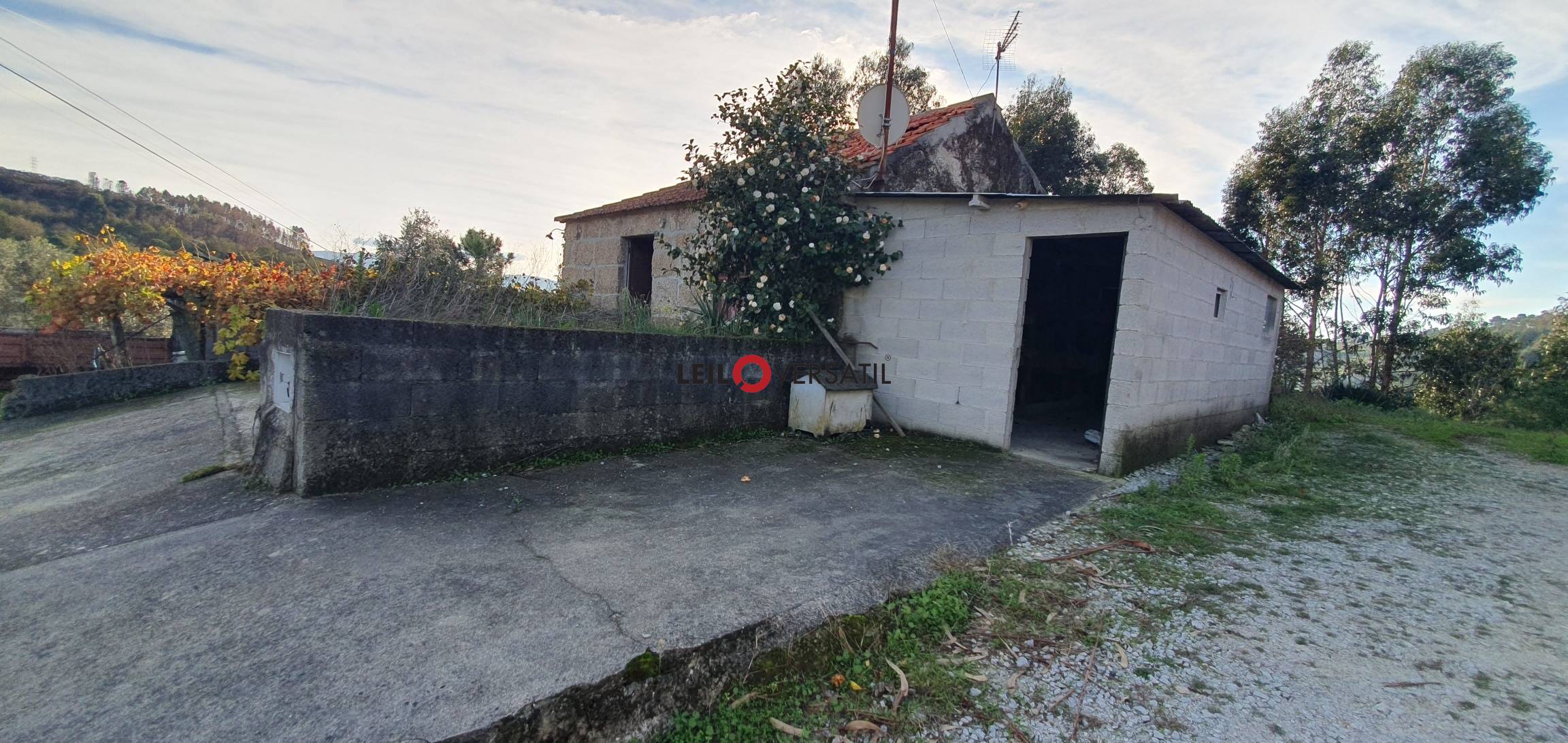 Lote 1