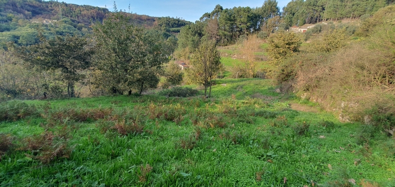 Lote 3