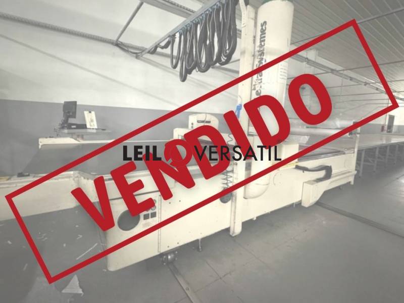 Lote 7
